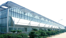 Commercial Agriculture Greenhouse Hydroponics Greenhouse Structural Glass Greenhouses Price