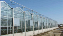 Hot Selling Venlo A Shape Agricultural Polycarbonate Pc Sheet Greenhouse With NFT Growing Systems For Lettuce