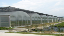 Commercial Multi-Span Agricultural Low Cost Tunnel Greenhouse Agriculture Plastic Greenhouse Price Hot Weather