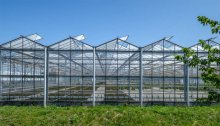 Complete agricultural tomato glass greenhouse hydroponics project turnkey project with quick construction for Russia