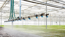 Agricultural Greenhouse Plastic Film Greenhouse Price Used Greenhouse Structure Film Greenhouse for Sale