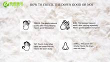 How To Check The Down Good Or Not