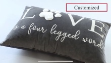Plush Cushion