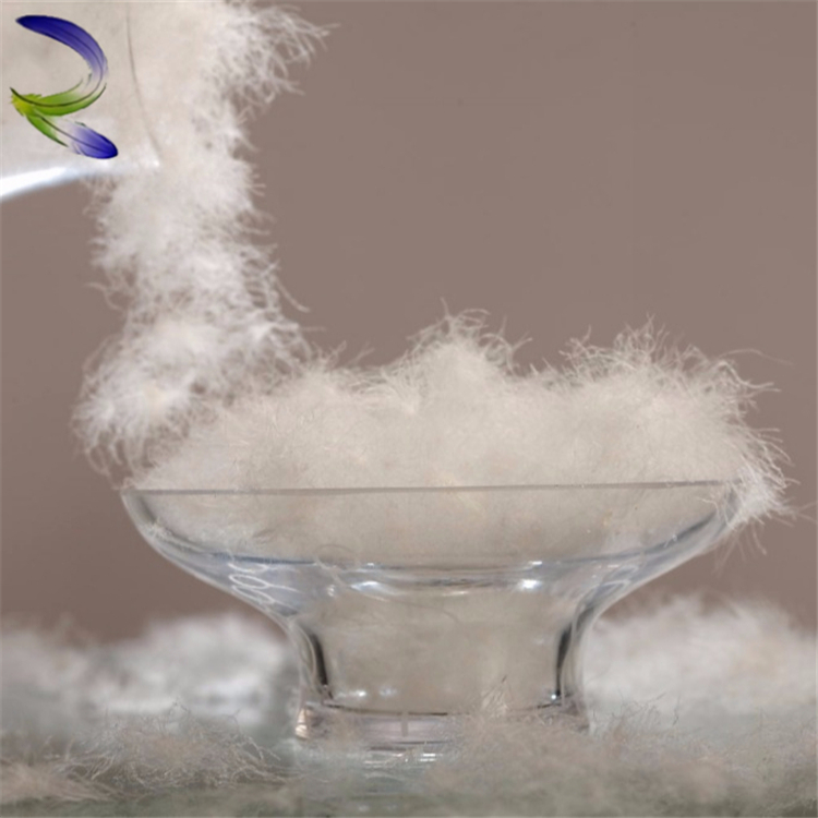 down festher supplier in China