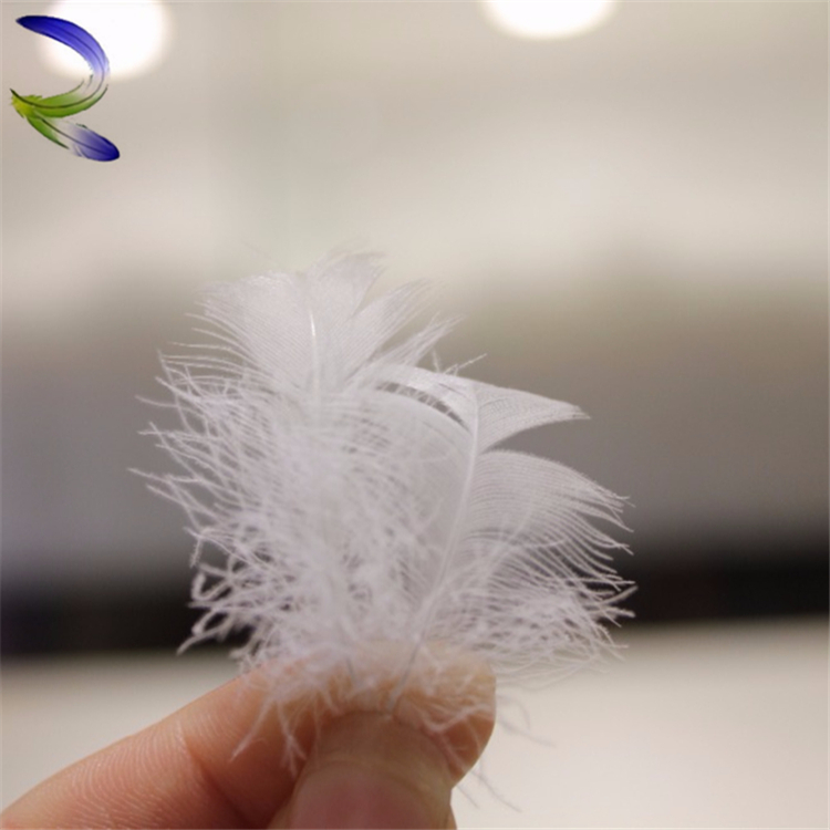 How To Get Rid Of Down Feather Smell Rongda