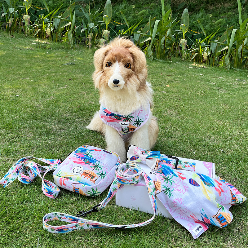 Wholesale Pet Supplies/ Pet Products Manufacturer Raysun