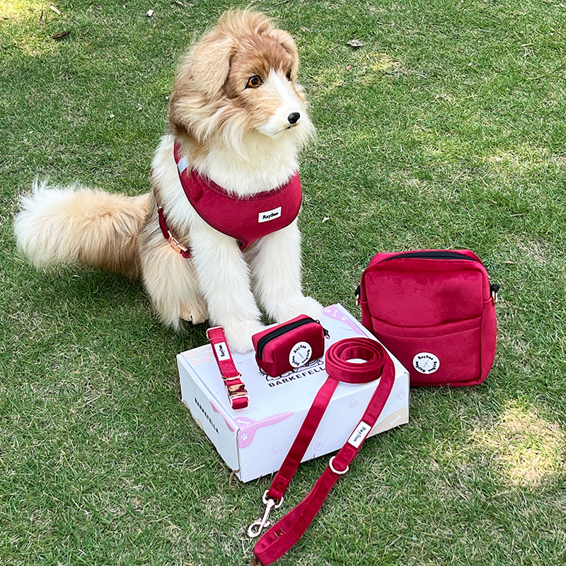 Wholesale Pet Supplies/ Pet Products Manufacturer Raysun