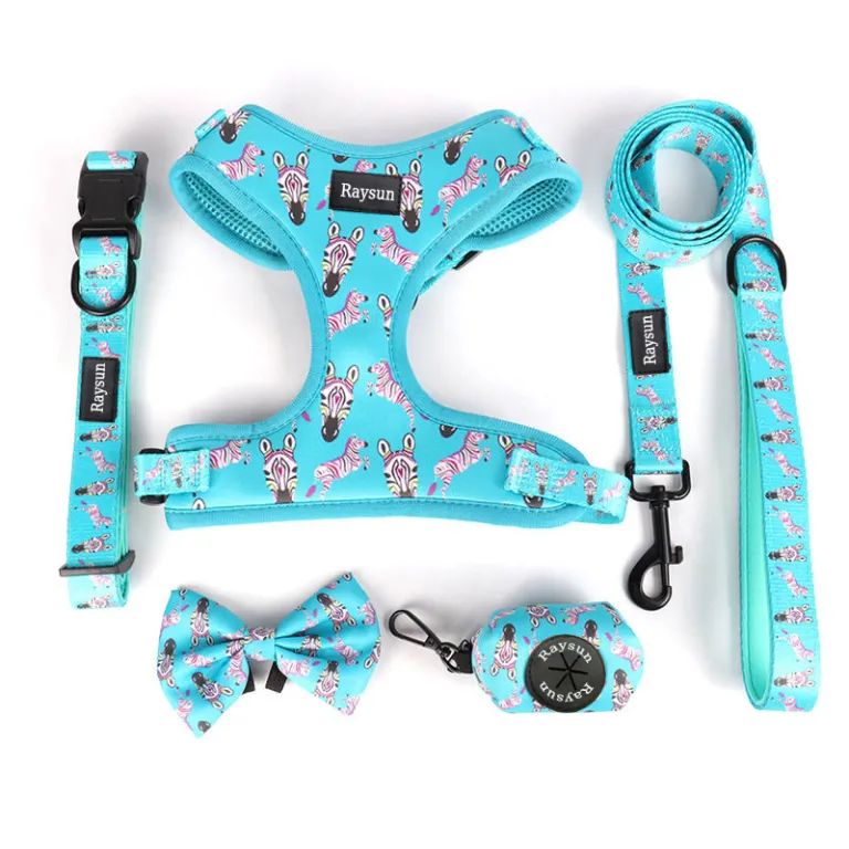 Arnés Personalizado Para Perro – Cuero Acolchado Ajustable (XS A XL) Con Nombre
