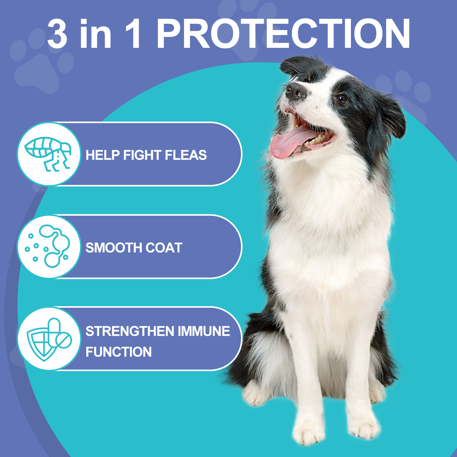 Advanllent Flea and Tick Prevention Supplement - Natural and Functional ...