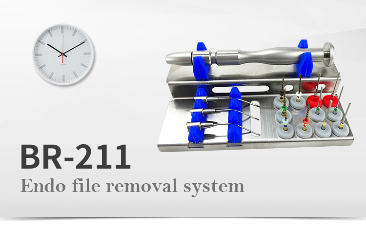 Broken File Extractor Kits for Endodontics | Denspay Dental