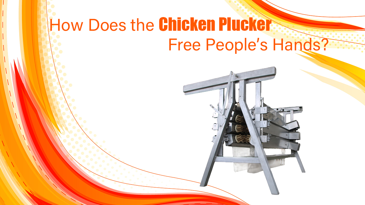 How Does the Chicken Plucker Free People's Hands? Eruis