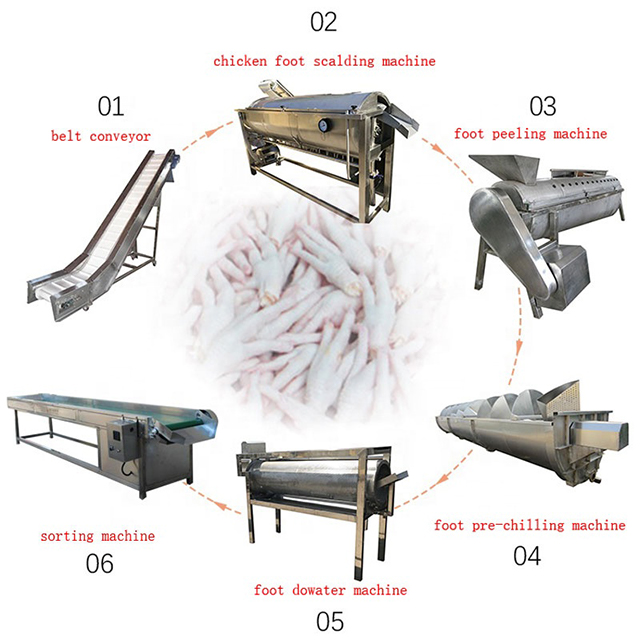 Chicken Feet Paw Cleaning Machine/ Feet Skin Peeling Processing Line ...
