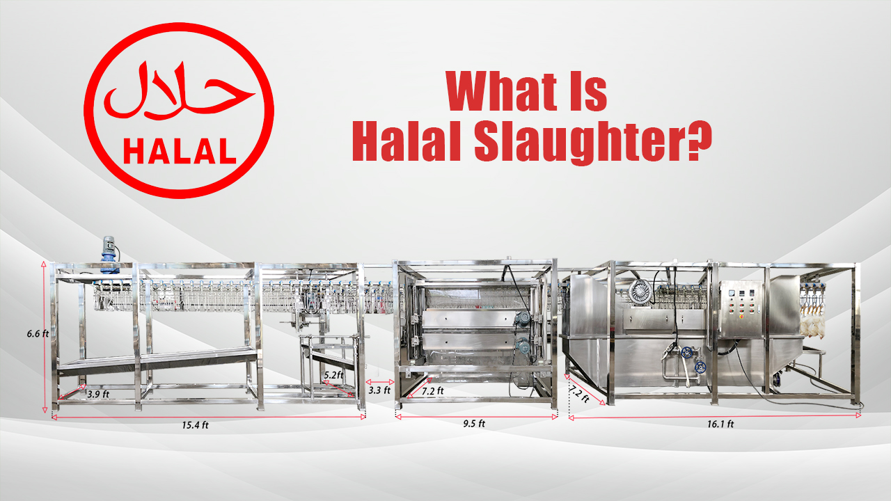 what-is-halal-slaughter-eruis