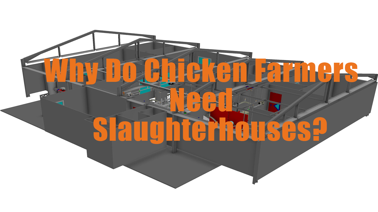 Why Do Chicken Farmers Need Slaughterhouses? Eruis