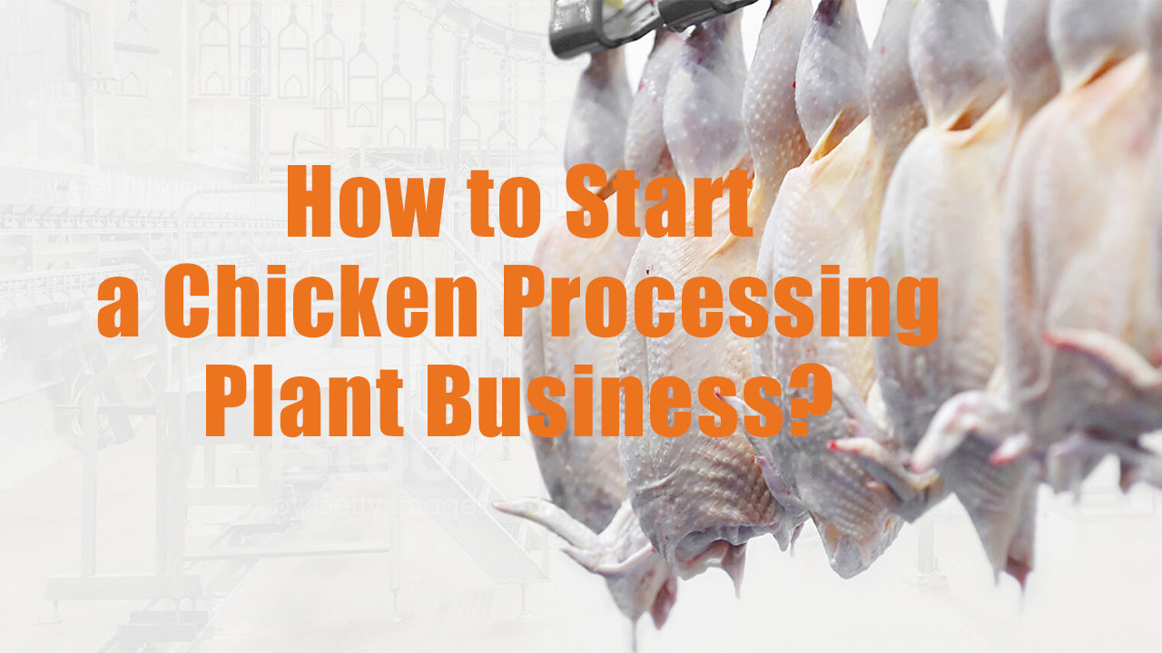 How To Start A Chicken Processing Plant Business? | Eruis