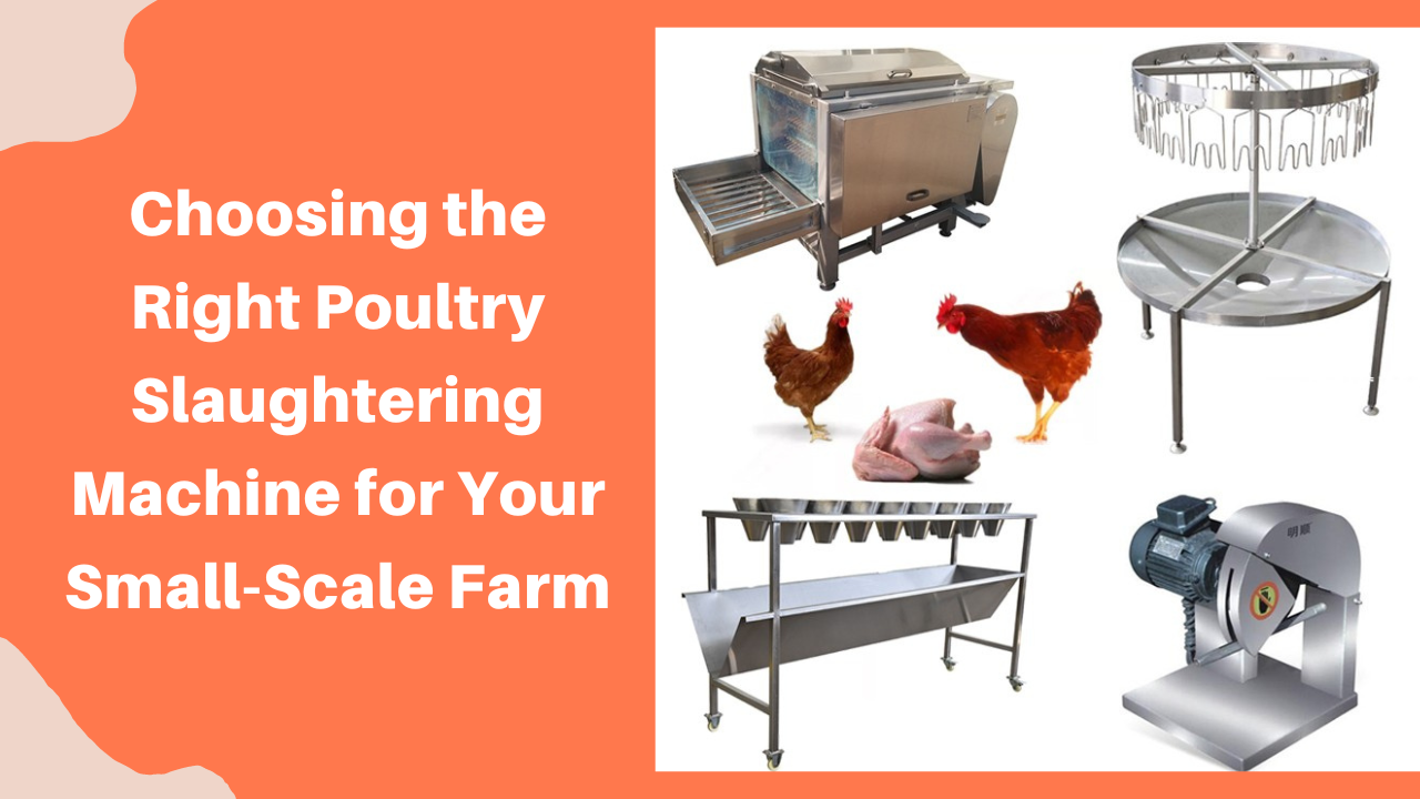 Choosing the Right Poultry Slaughtering Machine for Your SmallScale Farm