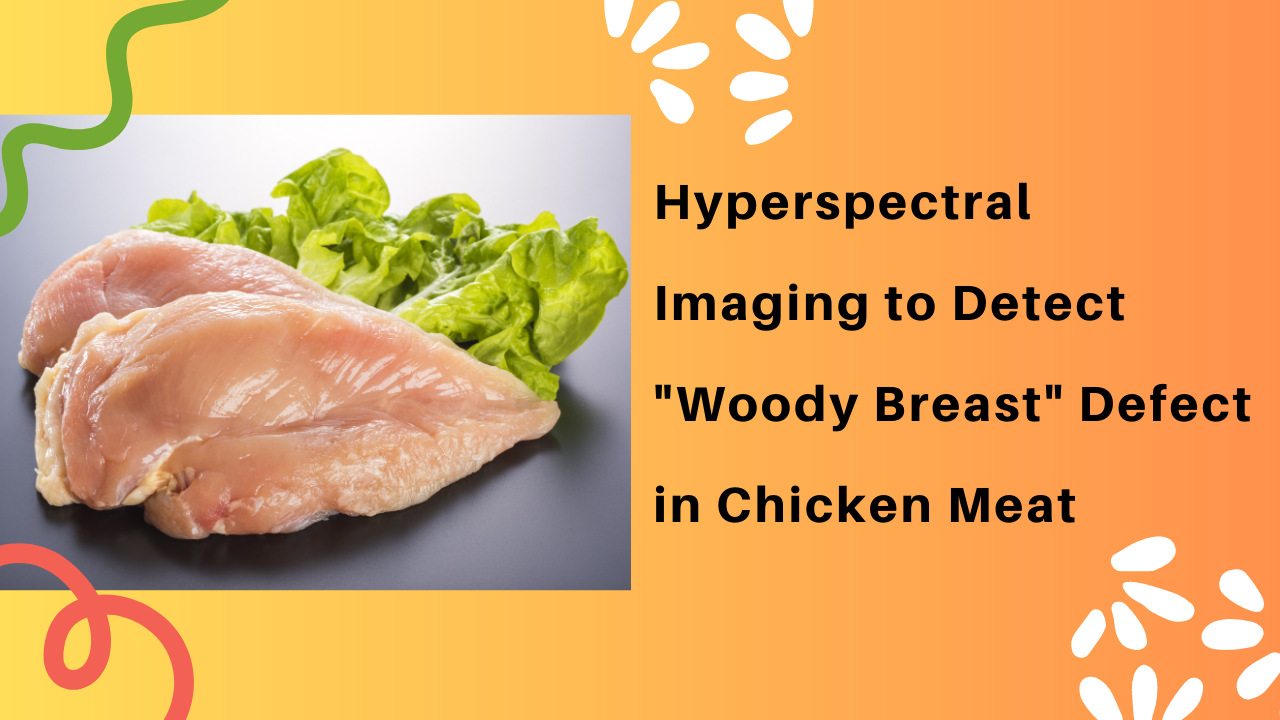 Chick Defects Hyperspectral Imaging to Detect