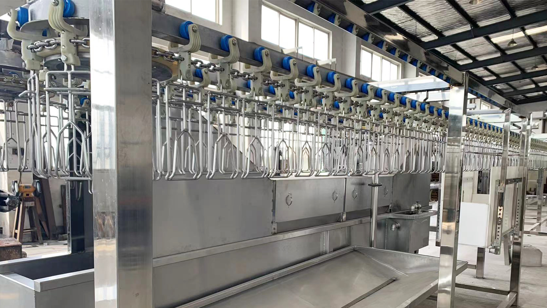 Boost Your Poultry Processing with Versatile 3003000 BPH