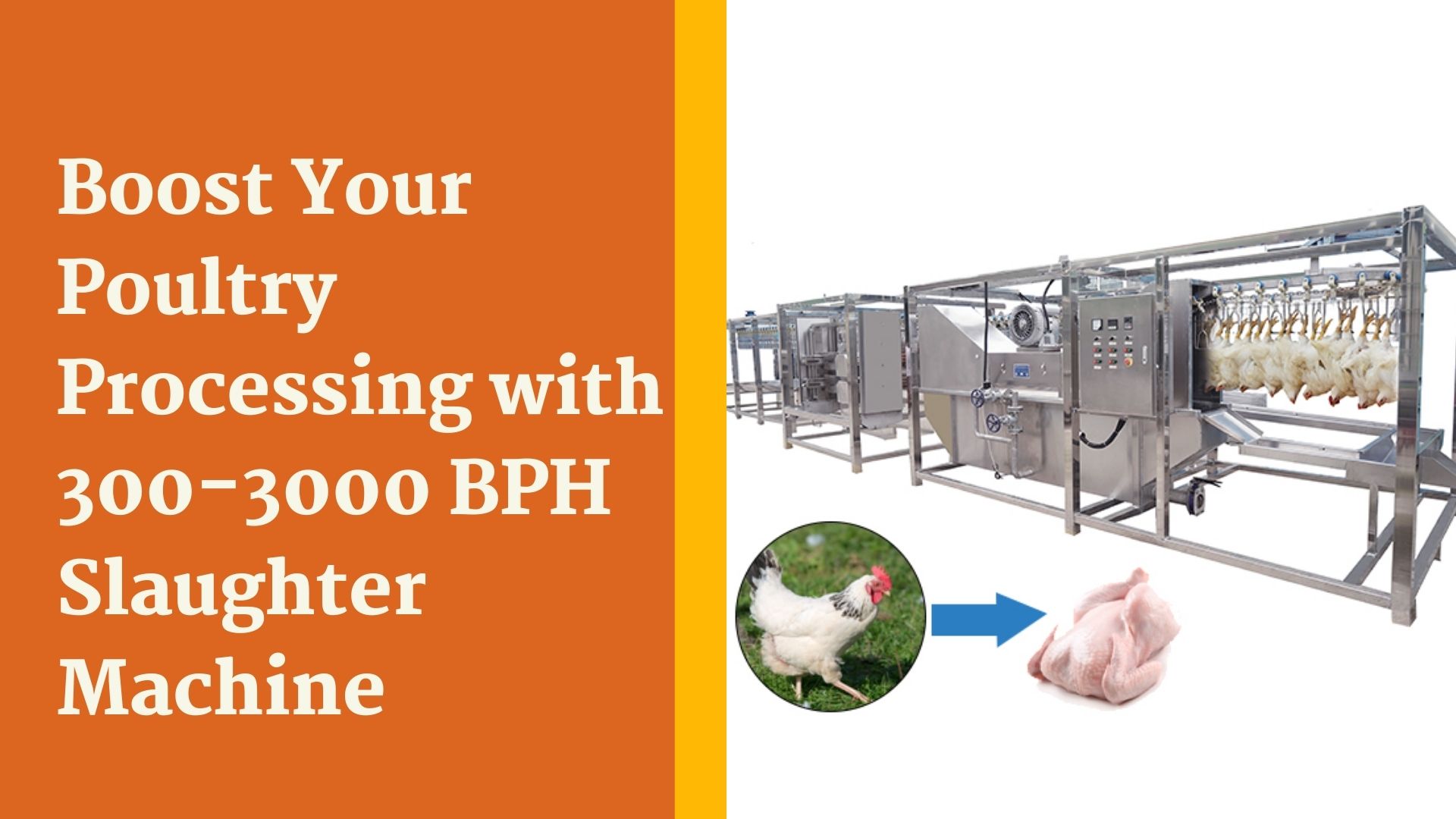 Boost Your Poultry Processing with Versatile 300-3000 BPH ...