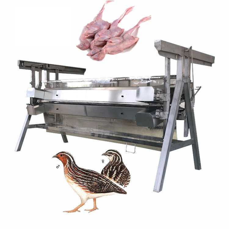 Quail Defeathering and Plucking Slaughter Line Equipment Leading the