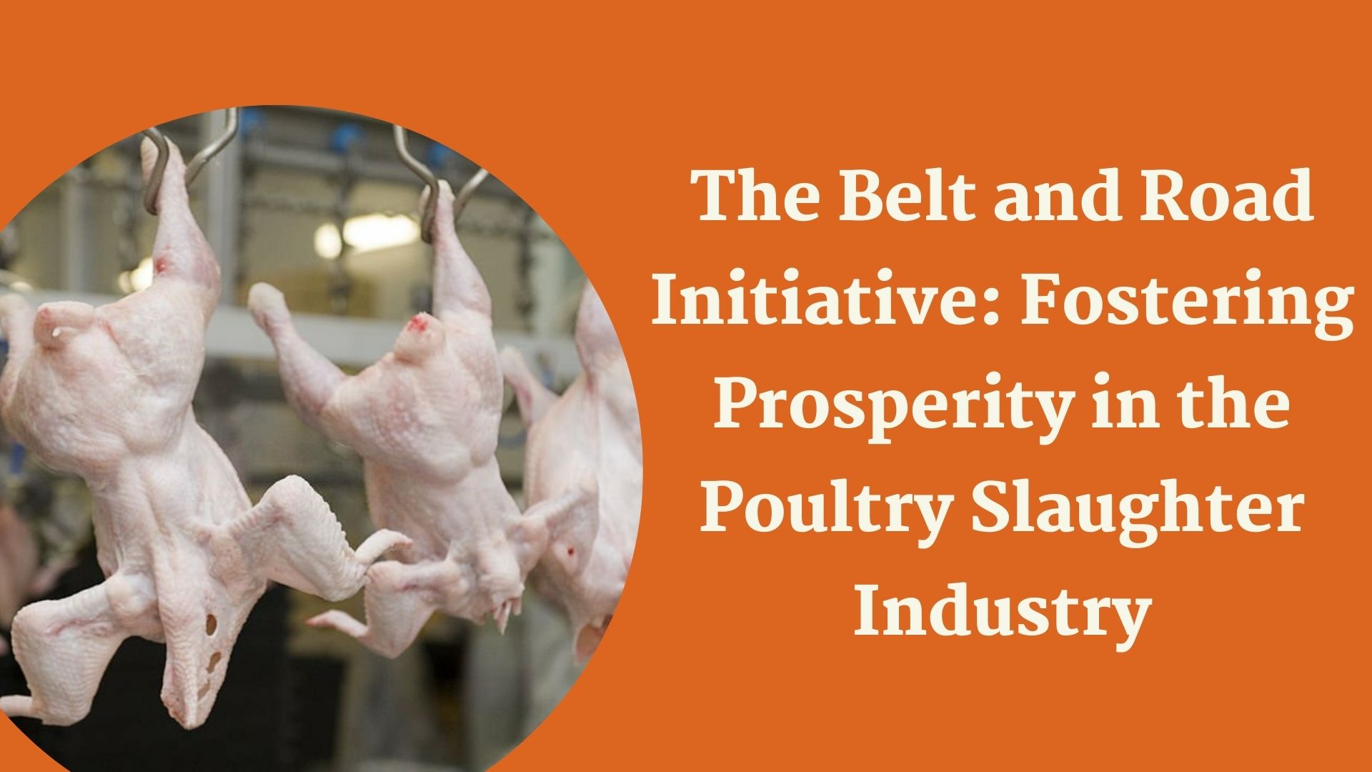 The Belt and Road Initiative Fostering Prosperity in the Poultry