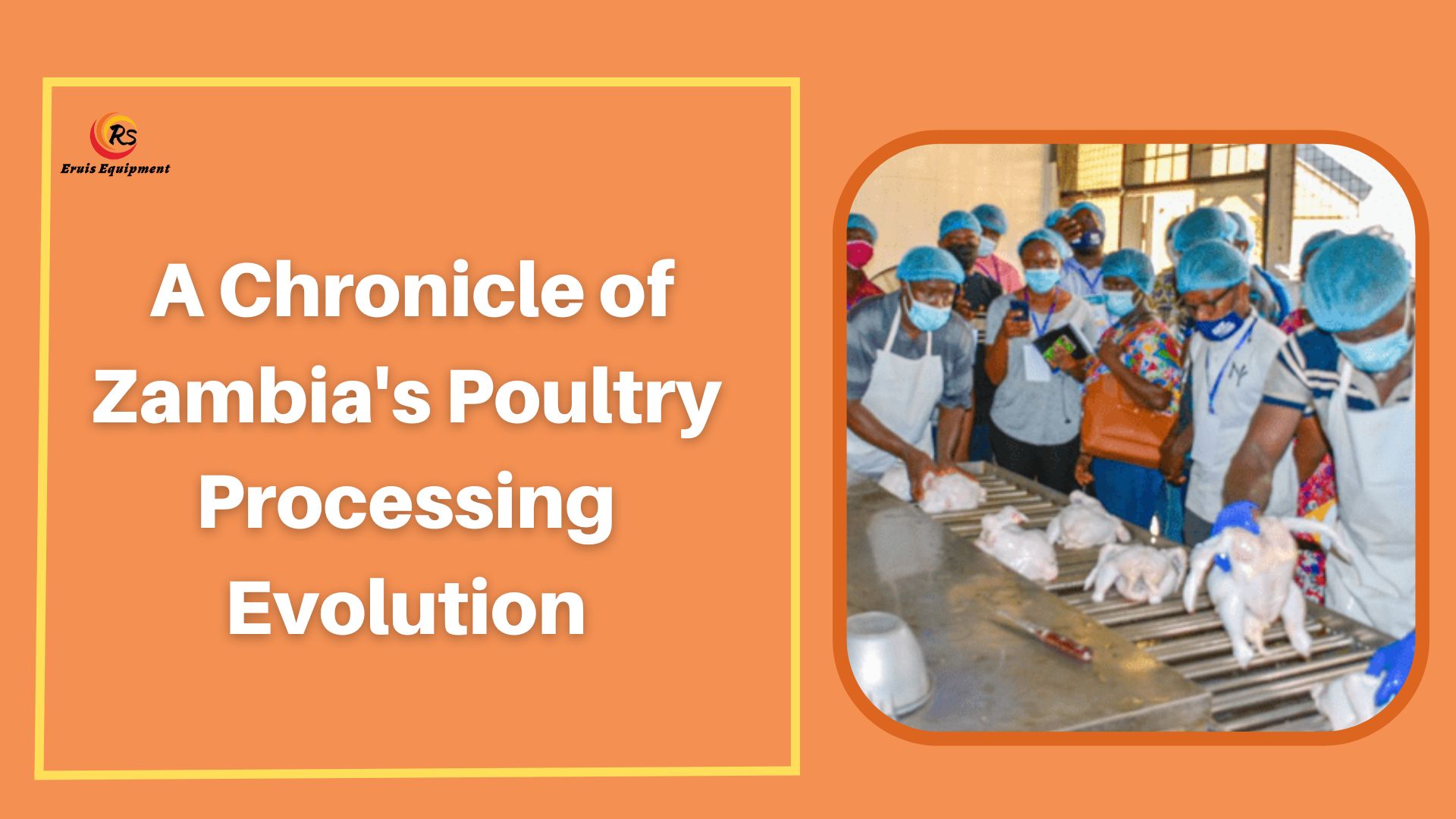 Breaking Boundaries A Chronicle of Zambia's Poultry Processing