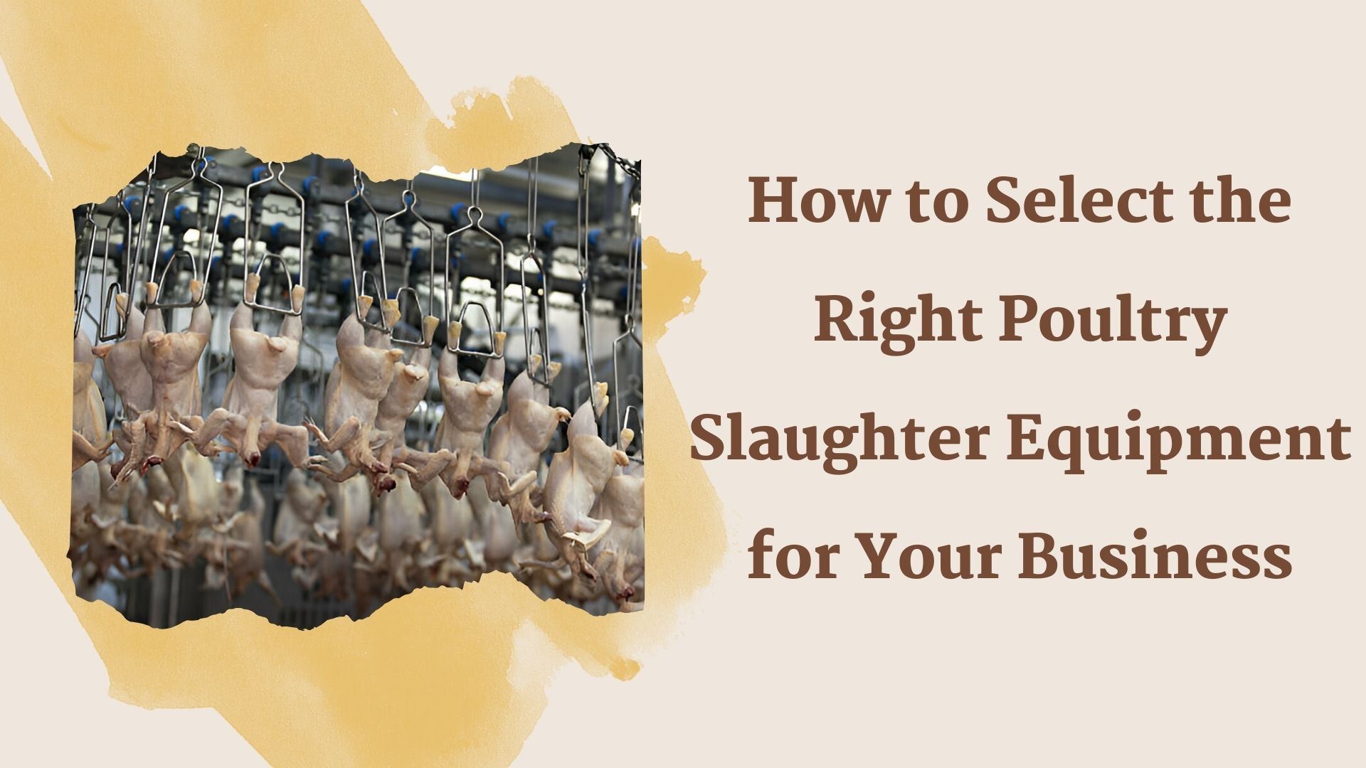 How to Select the Right Poultry Slaughter Equipment for Your Business ...