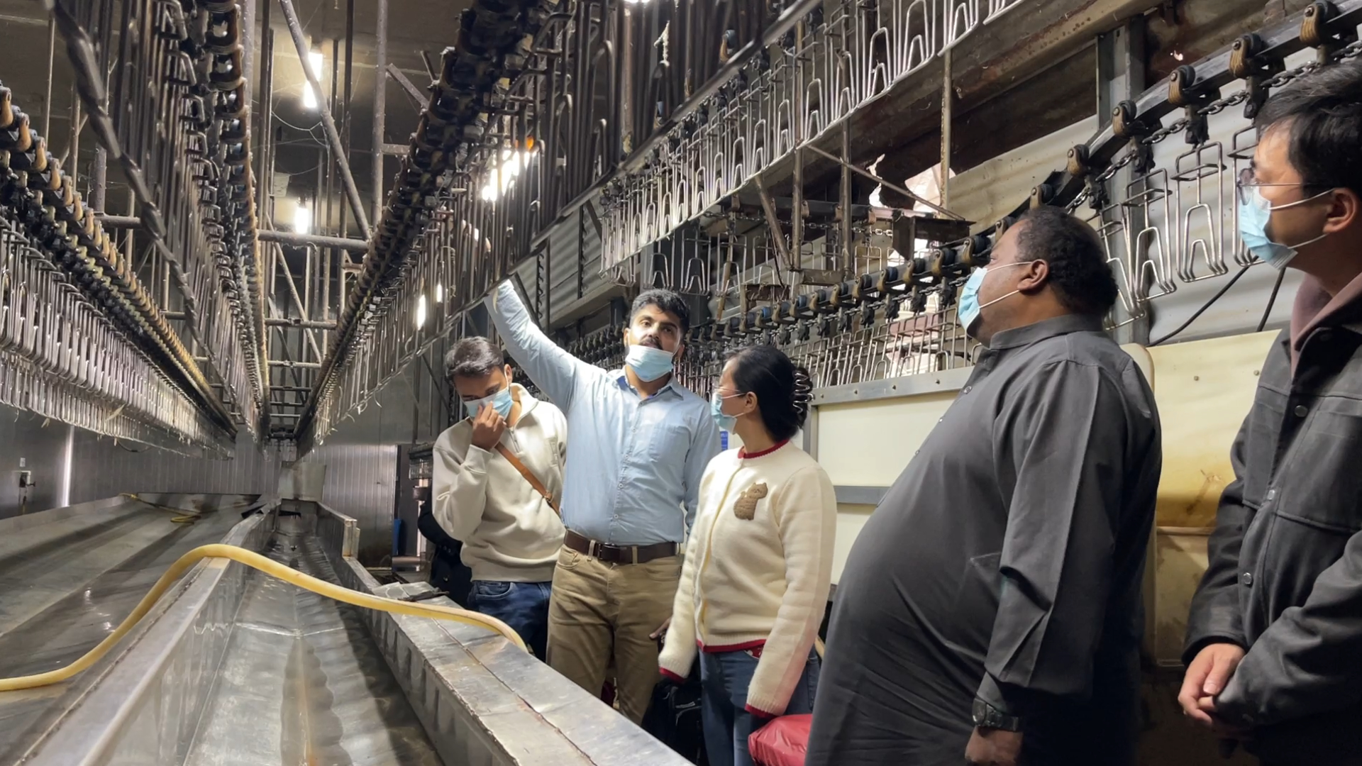 Building a Fully Halal-Compliant Poultry Processing Line | Eruis