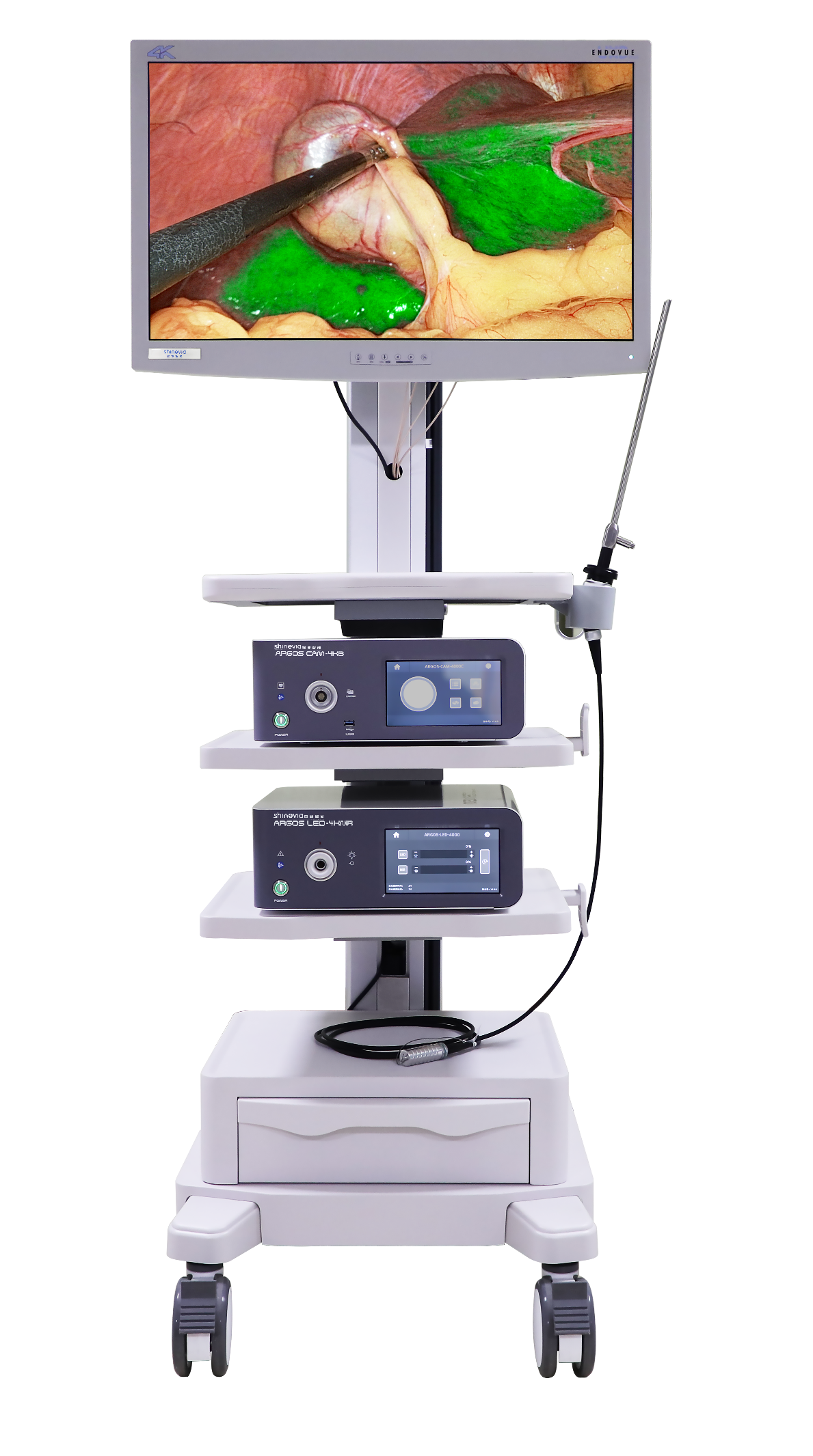 Endoscope Equipments System Manufacturer & Supplier SHINEVIA