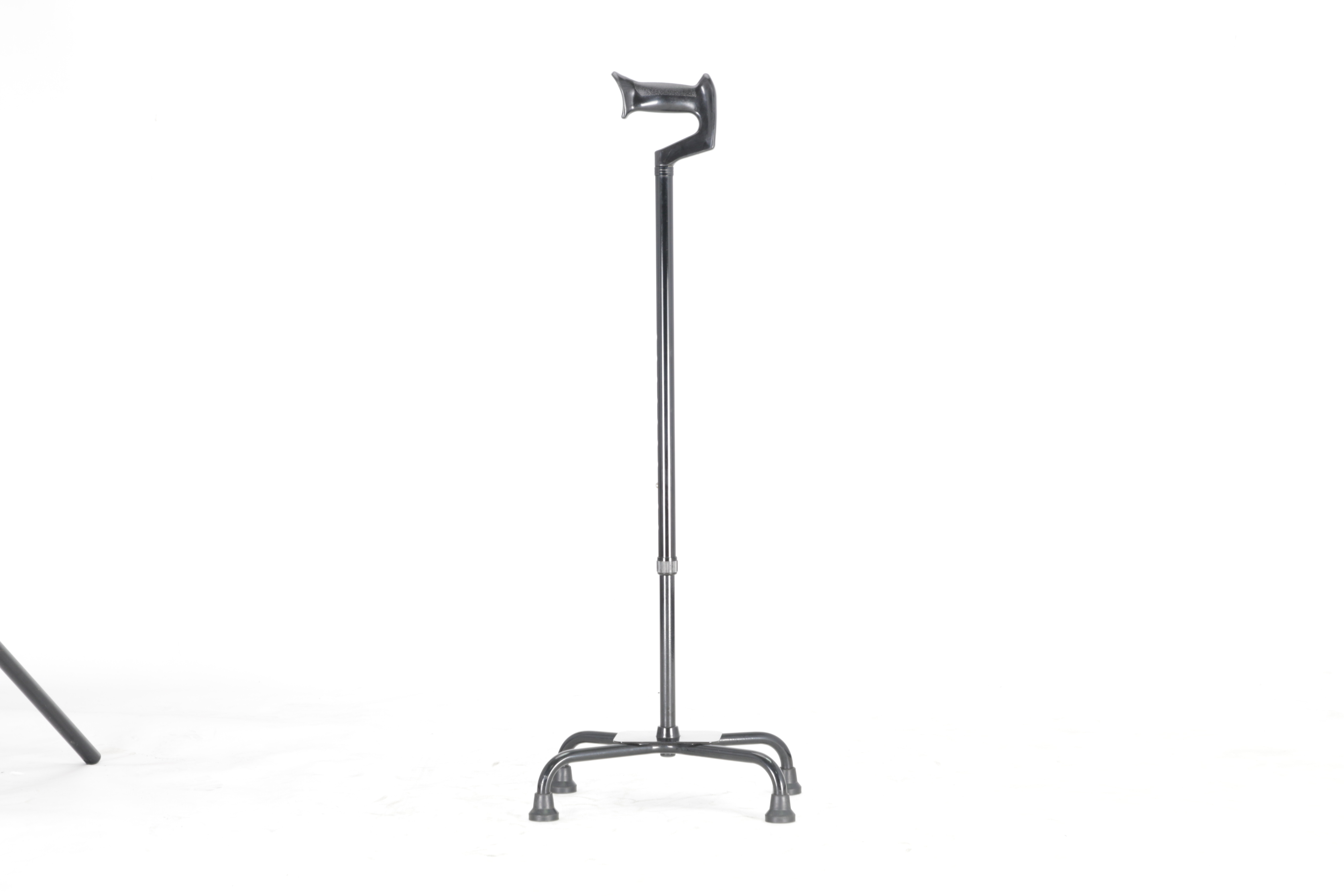 WALKING STICK