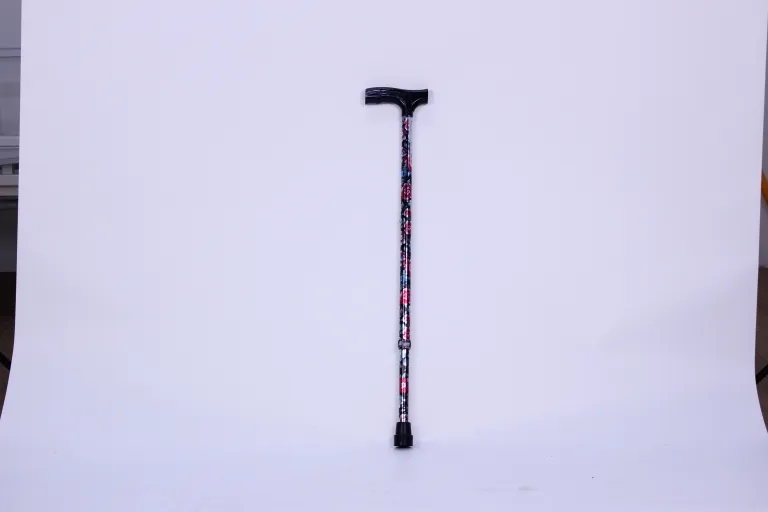 WALKING STICK