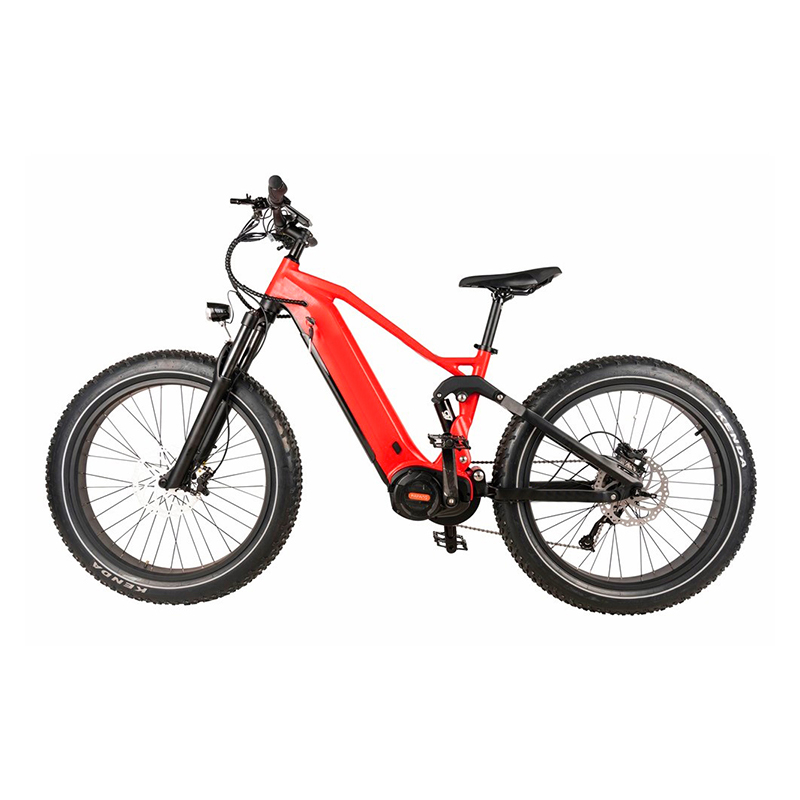 Custom E Bikes, Wholesale Electric Bike Manufacturer Ezreal Bike