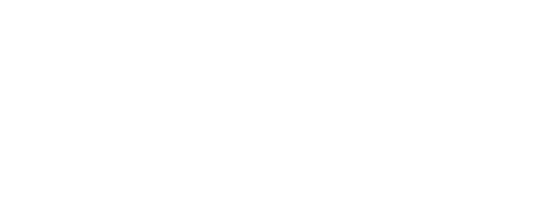 Dvolt