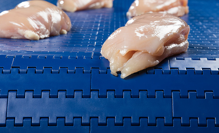 Modular Belt Conveyors for Meat