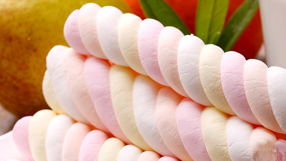 マシュマロ生産ライン・製造装置メーカー |インリッチ