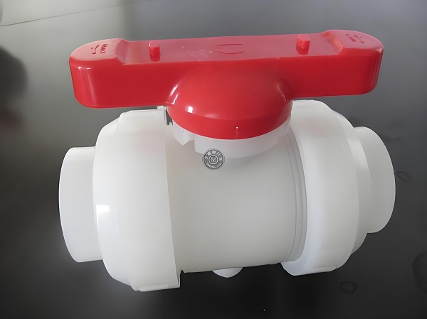 PVDF valve