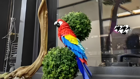 3D Printed Parrot Models
