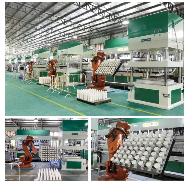 Far East & GeoTegrity丨Professional Plant Fiber Pulp Molded Tableware