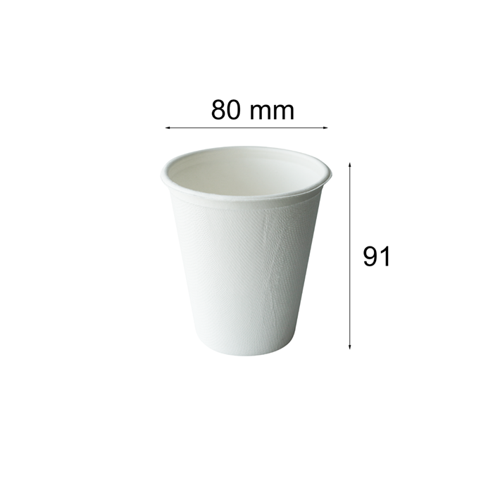 bagasse cup 