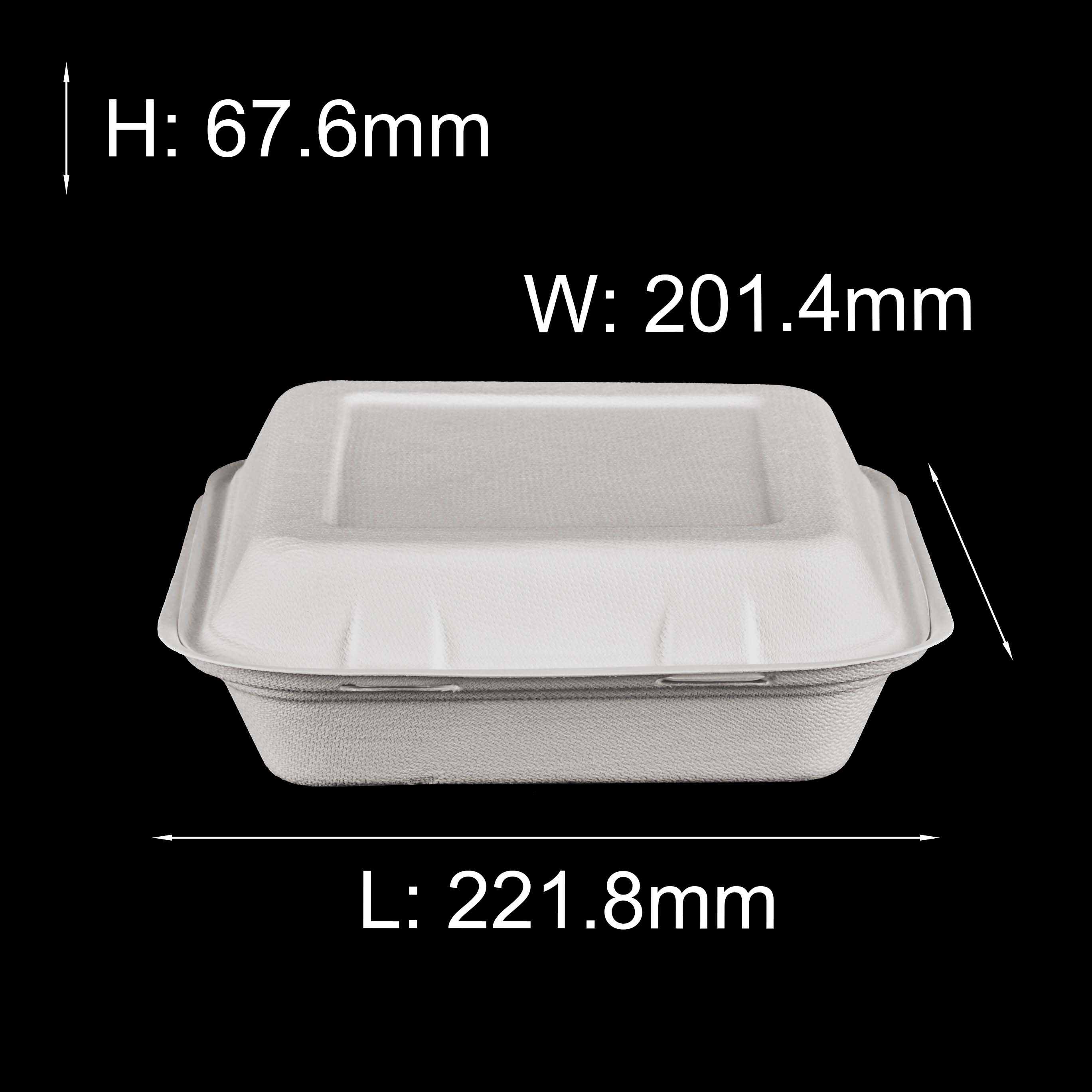 bagasse lunch box