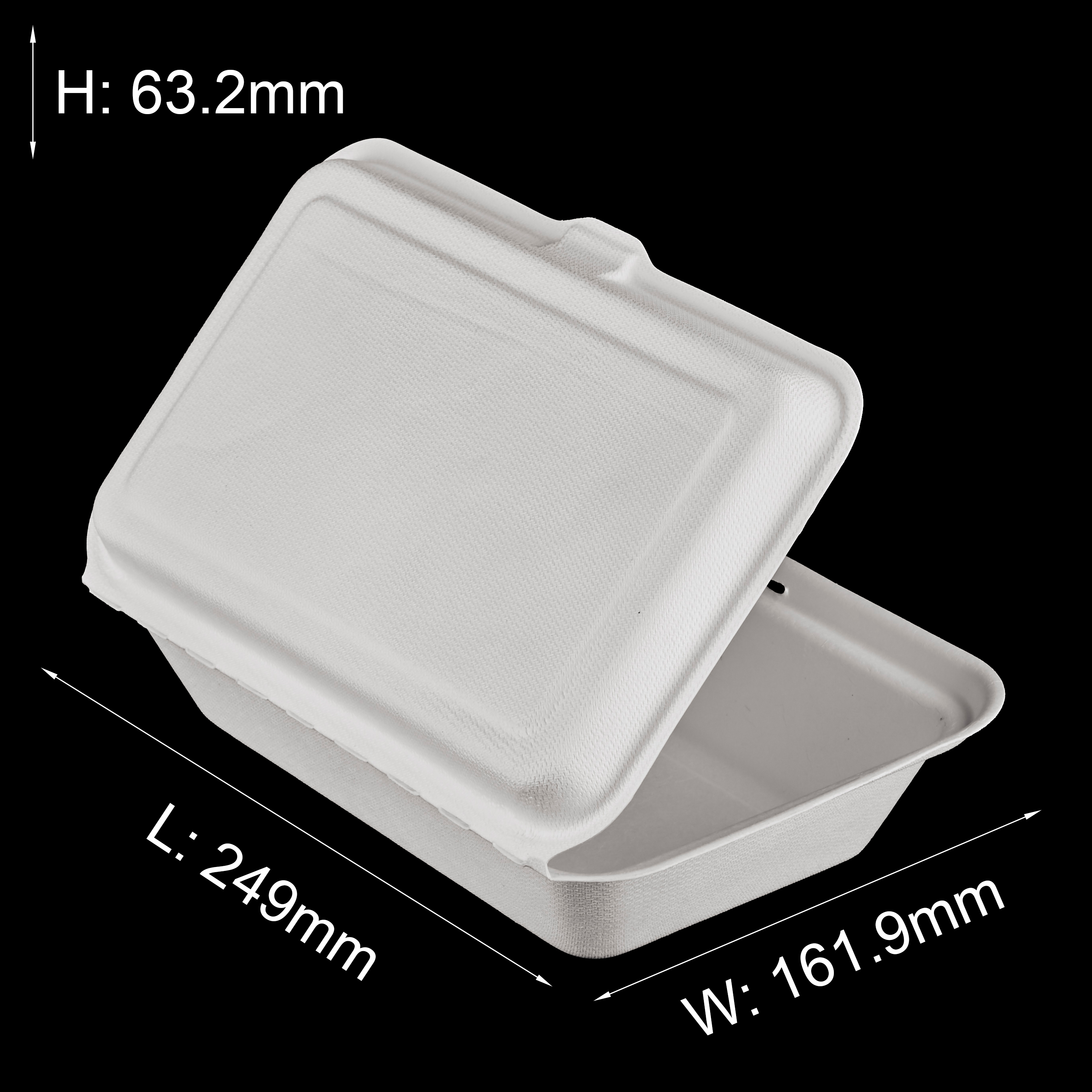 bagasse food container