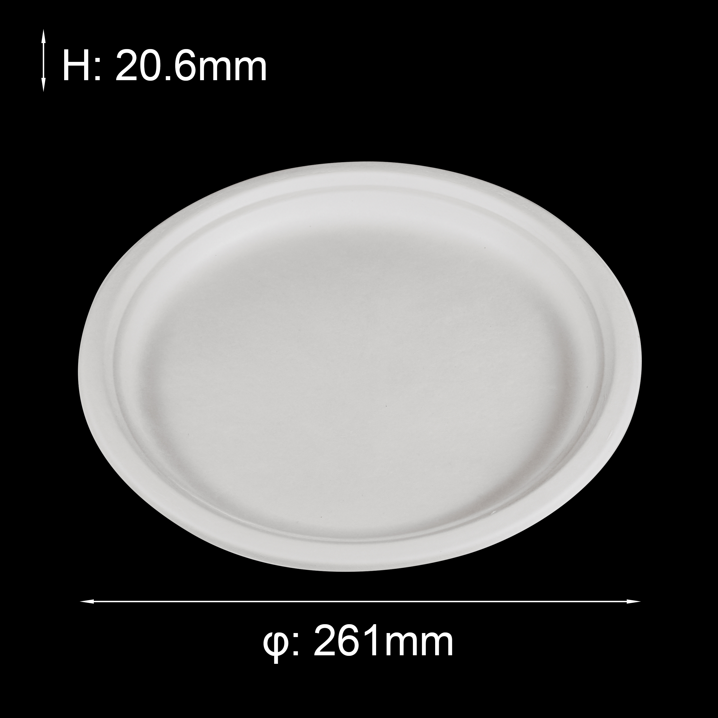 bagasse plate 