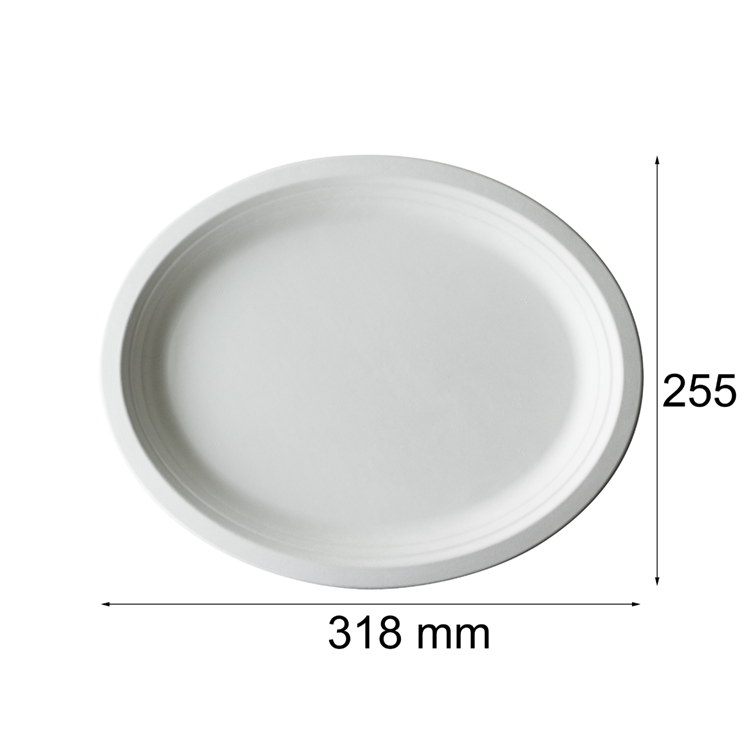 sugarcane bagasse oval plate