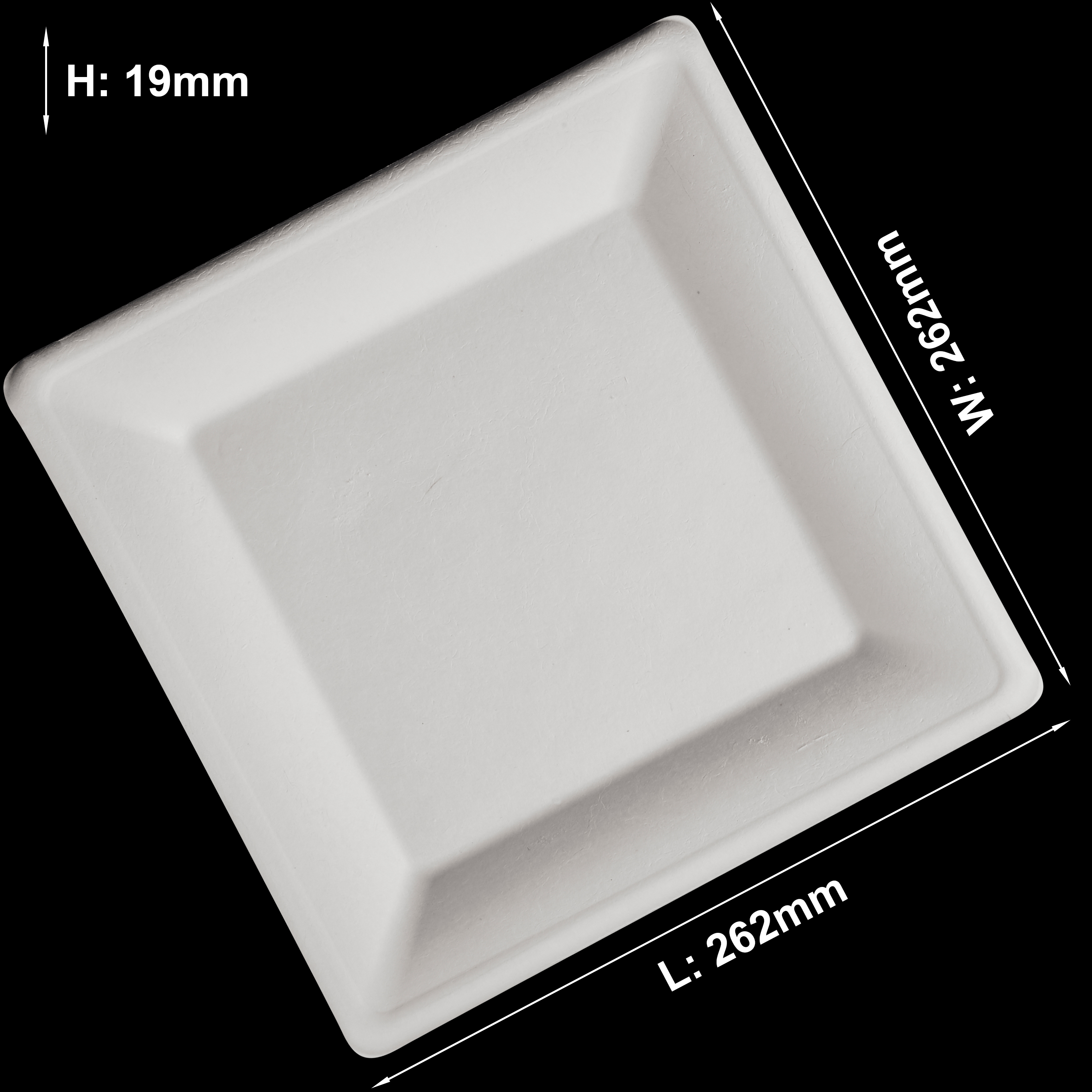 10inch square plate