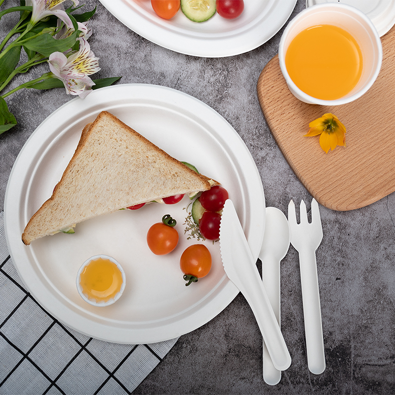 bagasse party plate