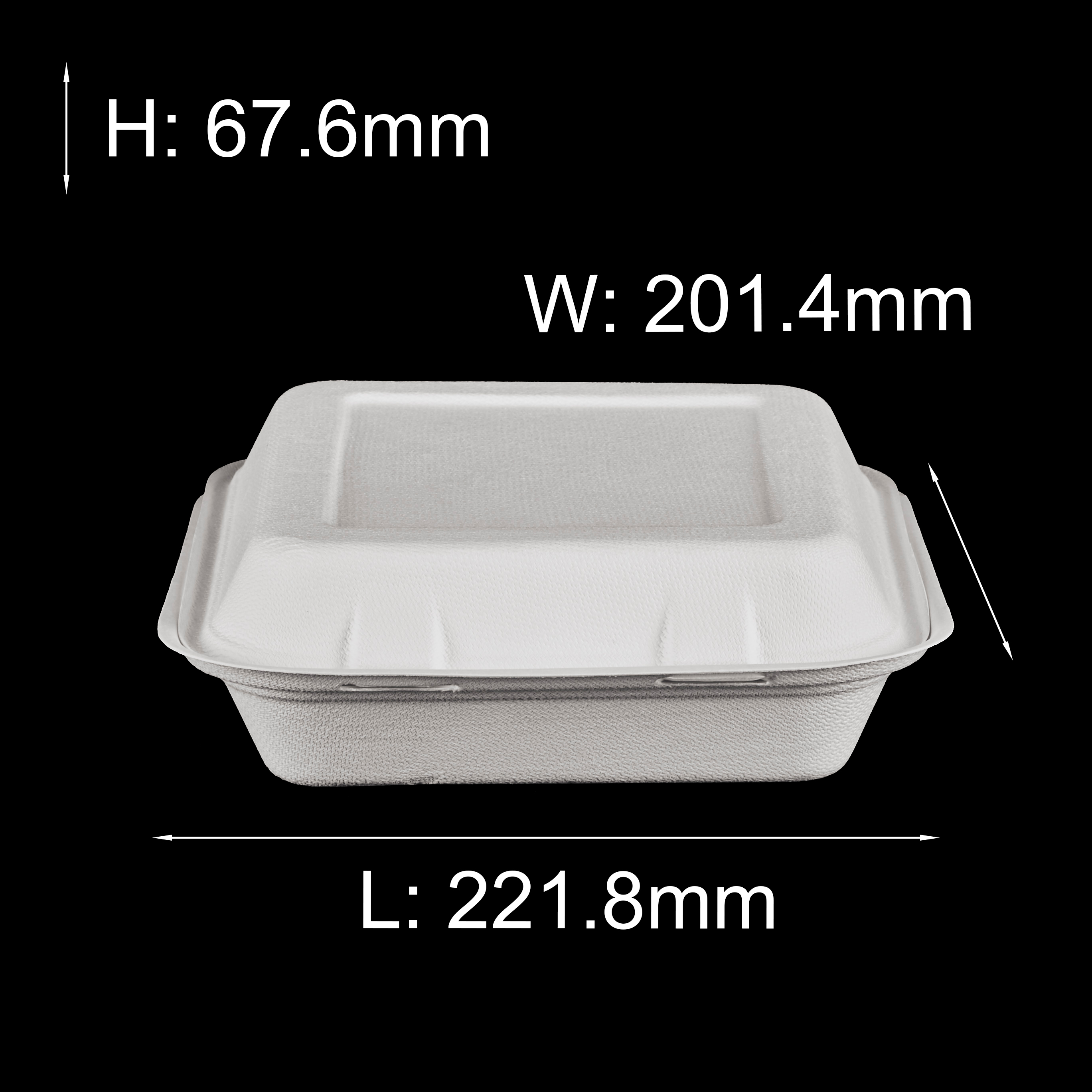 biodegradable fast food box