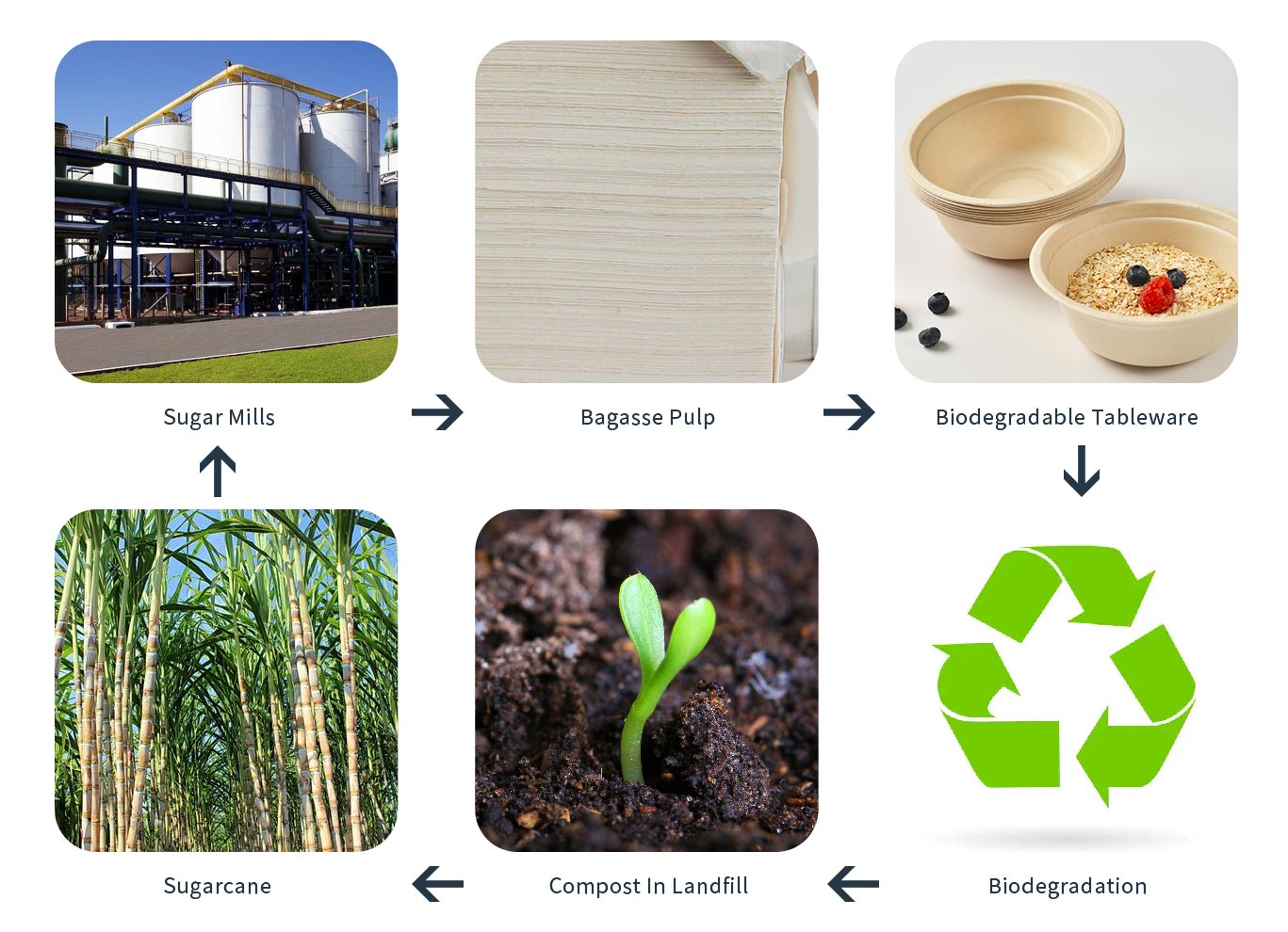 biodegradable process