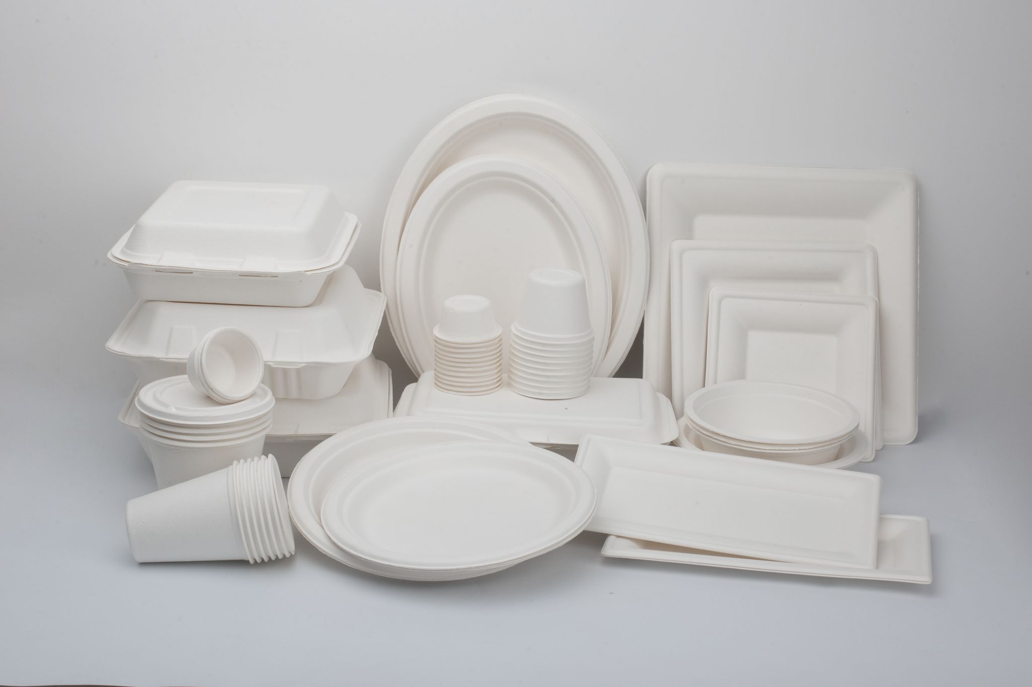 biodegradable disposable tableware