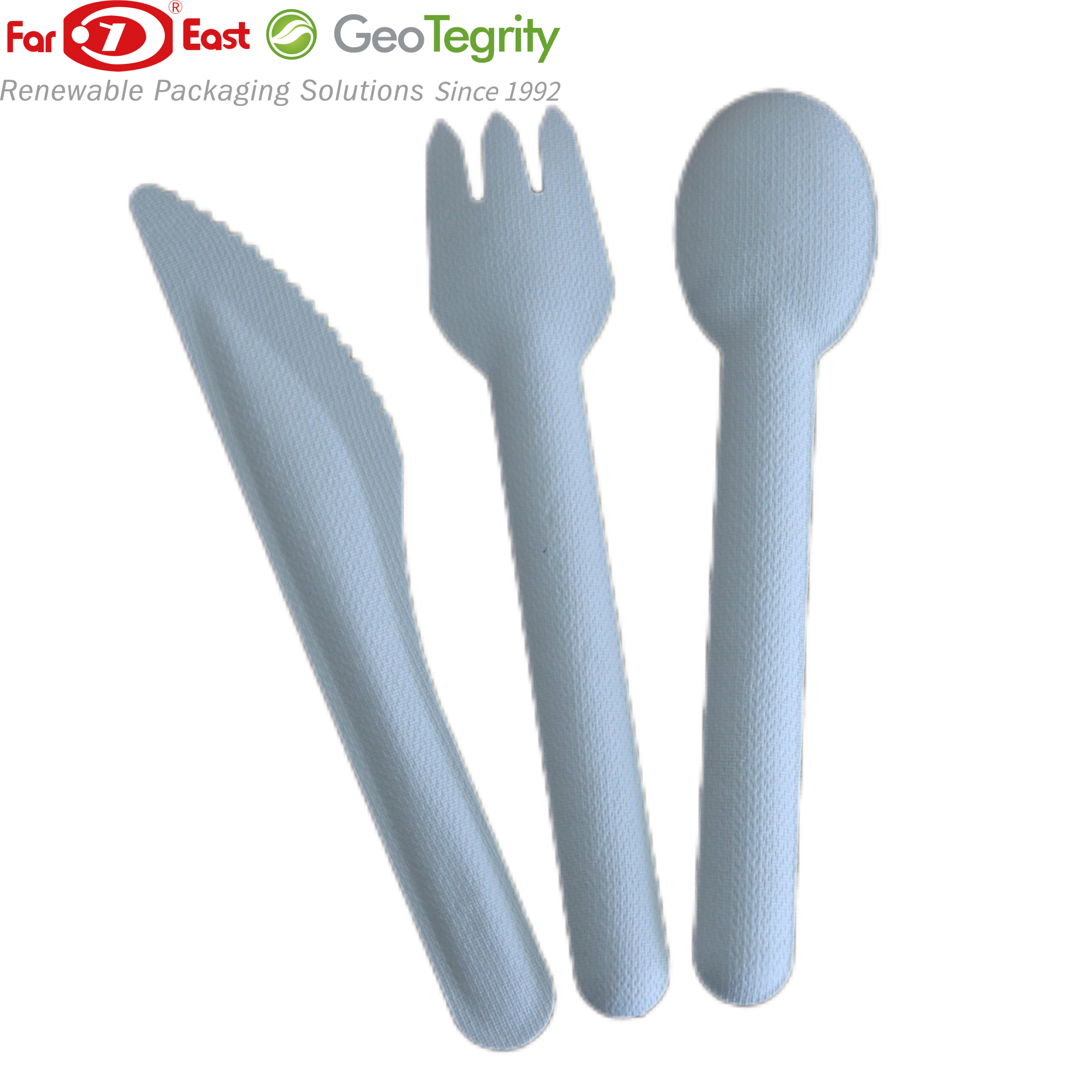 bagasse cutlery