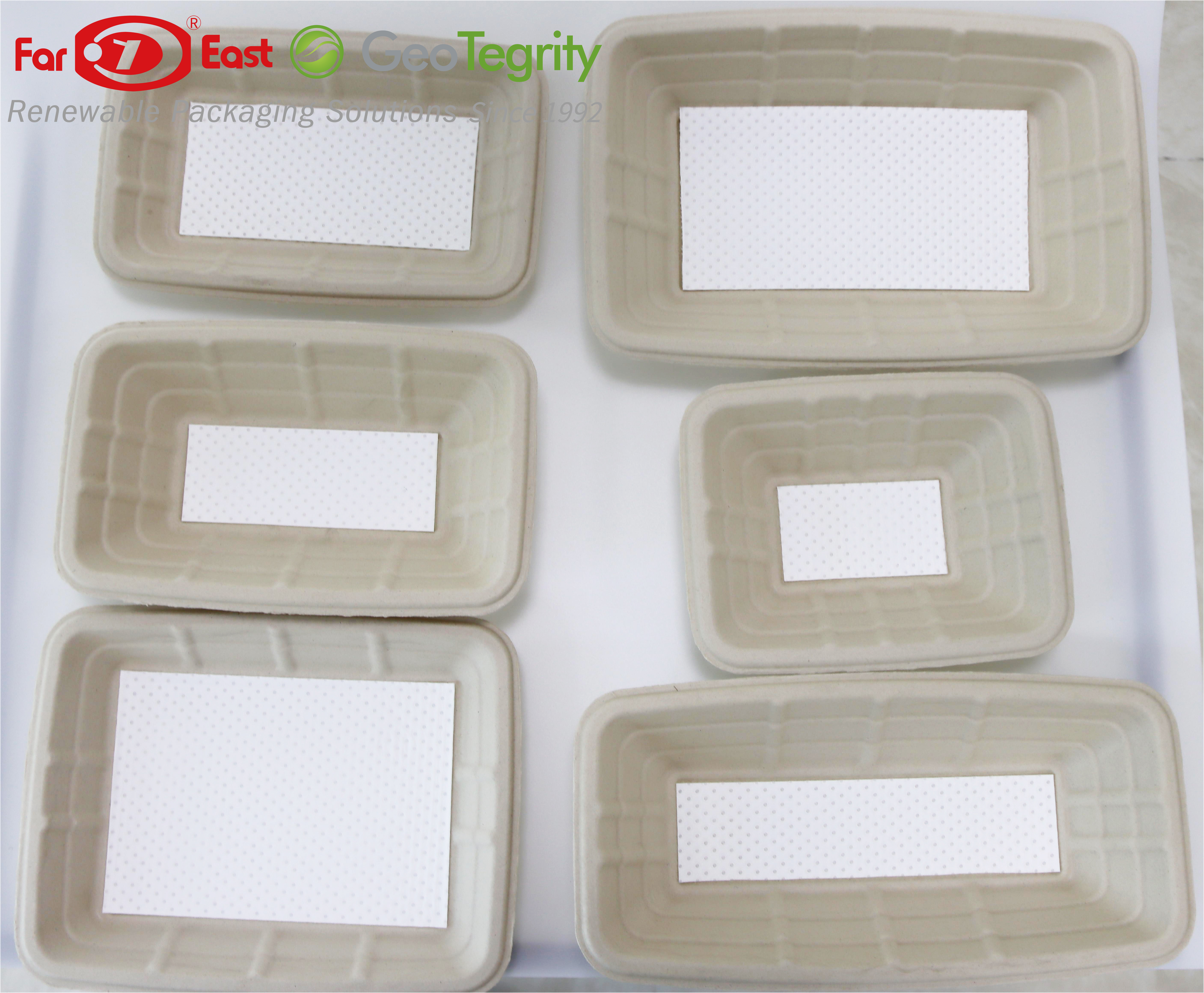 bagasse meat tray